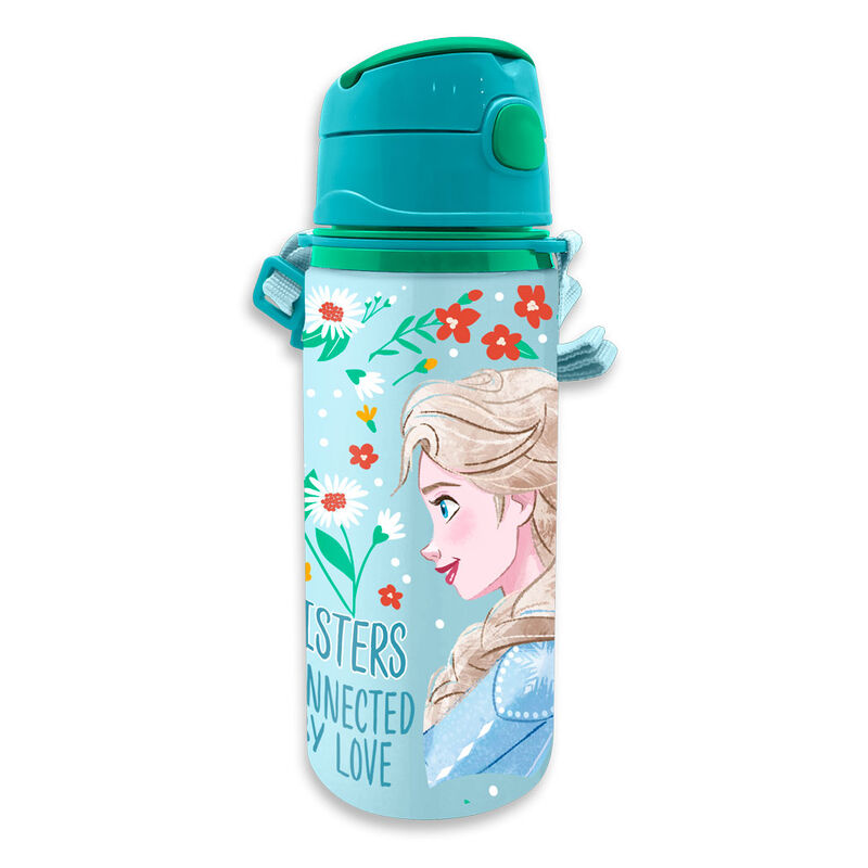 img_311042_71e54ffe7332fd50b6d5e1a585d3f903_1 Cantimplora Aluminio Con Asa 600 Ml Frozen Disney - Imagen 1
