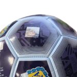 Balon Seleccion Argentina Futbol - Imagen 2